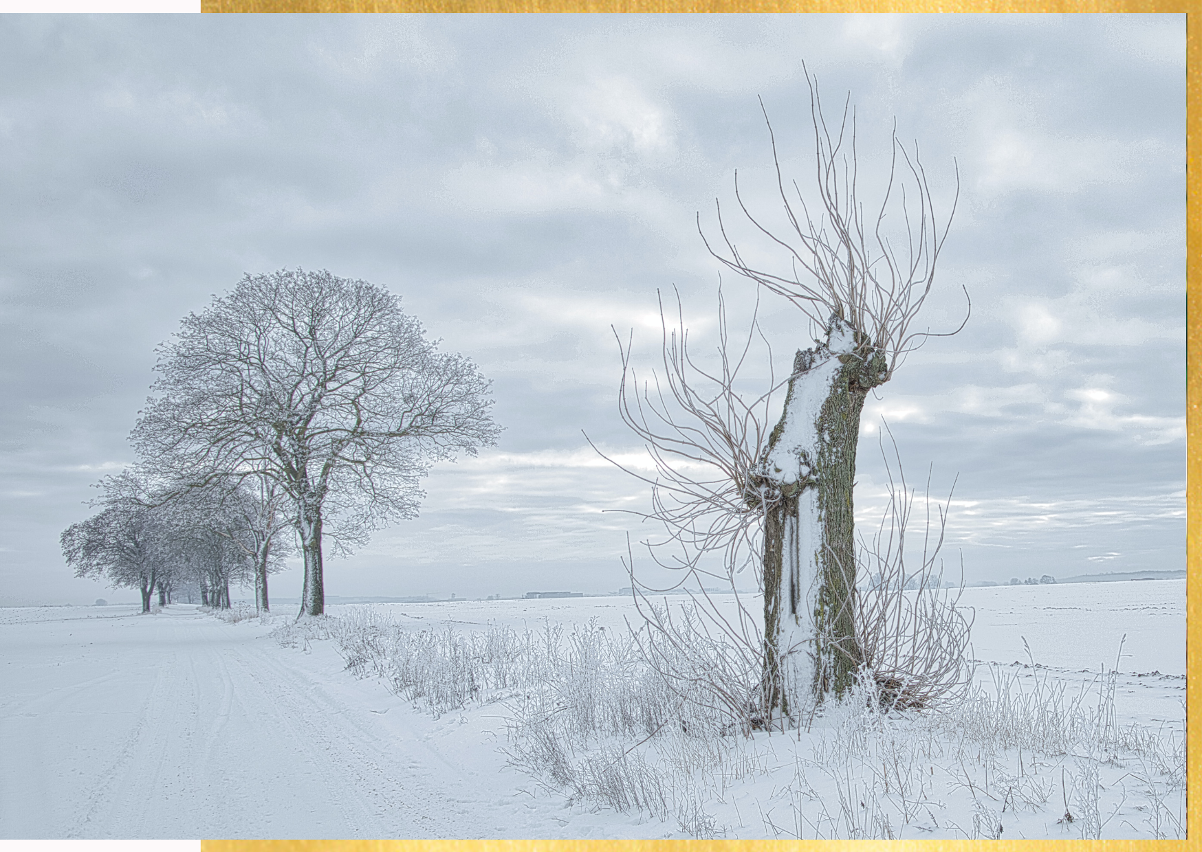 neve-forza-resistenza
