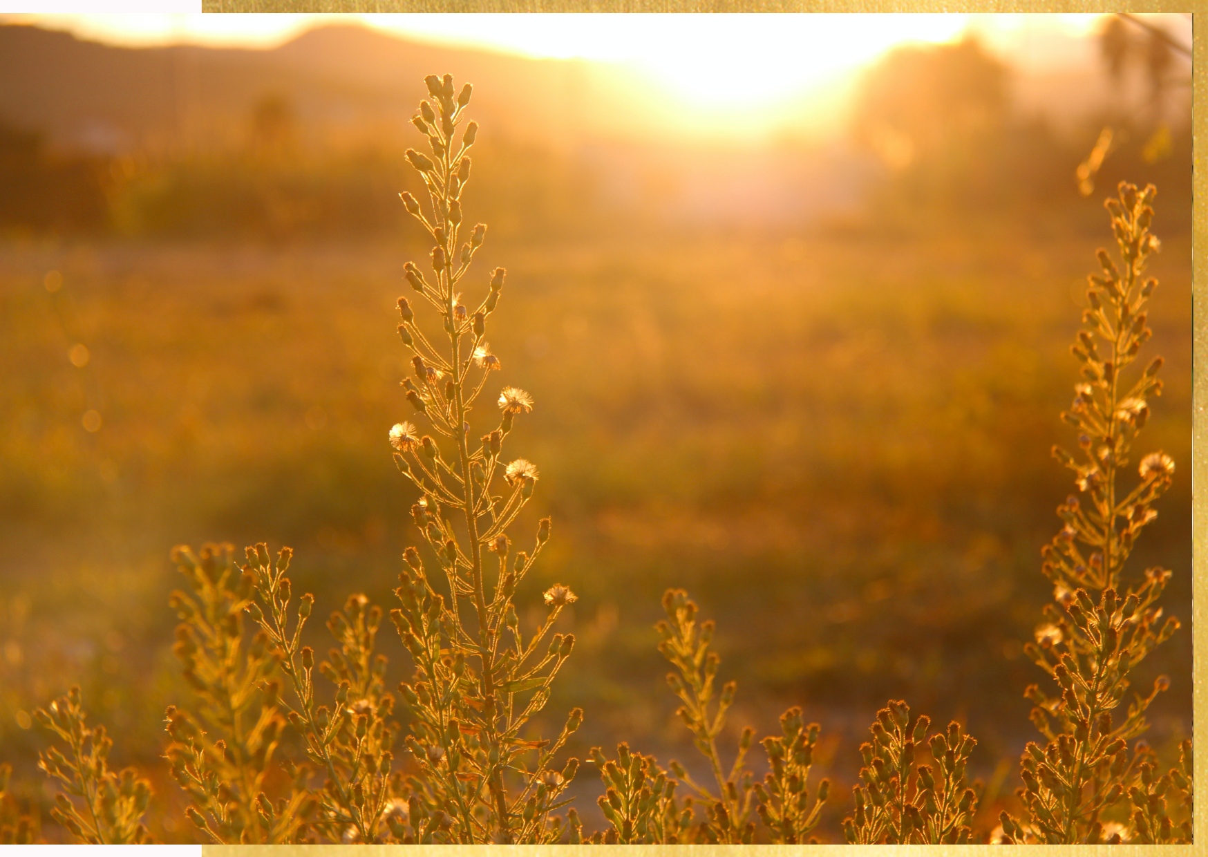 caldo-solstizio-estate