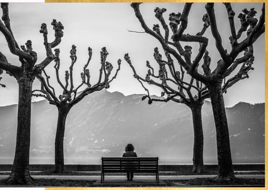 solitudine-alberi-panchina