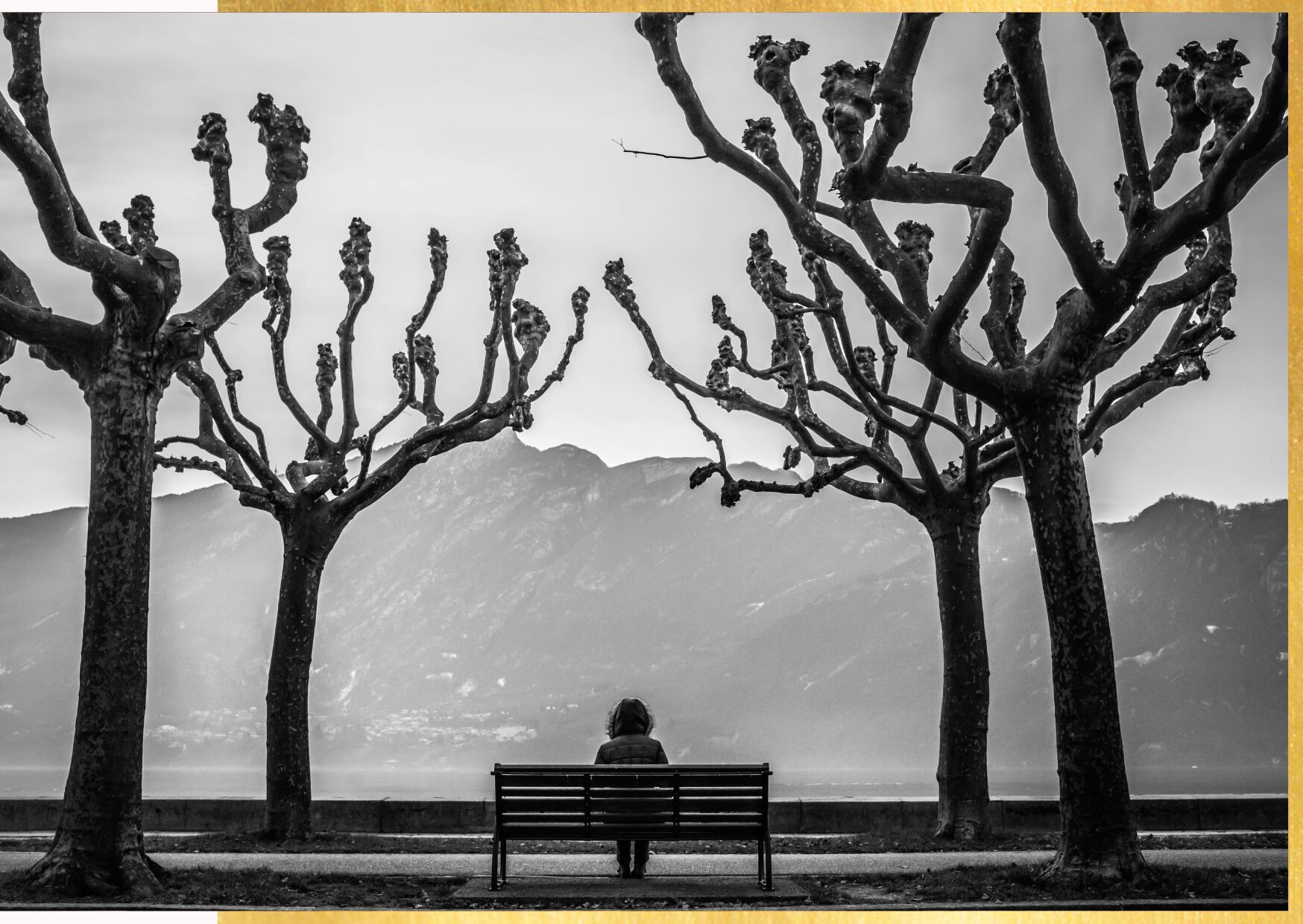 solitudine-alberi-panchina